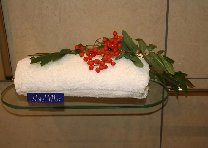 Mar Hotel 3*